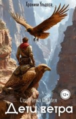 обложка книги Сильчева София "Дети ветра"