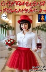 обложка книги Злюся Романова "Операция "Взамуж 2""