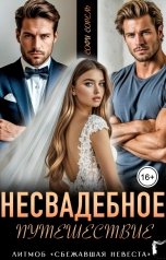 обложка книги Софи Сорель "Несвадебное путешествие"