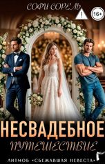 обложка книги Софи Сорель "Несвадебное путешествие"