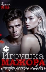 обложка книги Филиппа Фелье "Игрушка мажора. Теперь расплачивайся"
