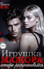 обложка книги Филиппа Фелье "Игрушка мажора. Теперь расплачивайся"