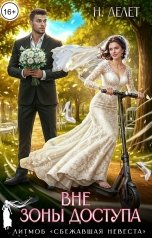 обложка книги Н.  Лелет "Вне зоны доступа"