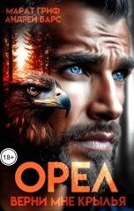 обложка книги Андрей Барс "Орел. Верни мне крылья"