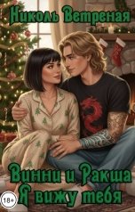 обложка книги Николь Ветреная "Винни и Ракша. Я вижу тебя"