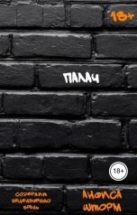 обложка книги Анфиса Шторм "Палач"