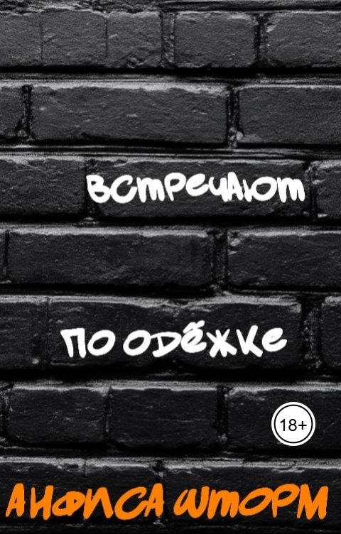 Обложка книги Анфиса Шторм Встречают по одёжке