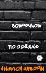 обложка книги Анфиса Шторм "Встречают по одёжке"