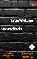 обложка книги Анфиса Шторм "Встречают по одёжке"