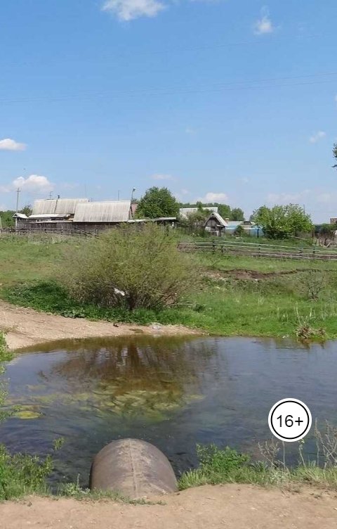 Обложка книги Anton Cherepanov Тайна реки Биргильда