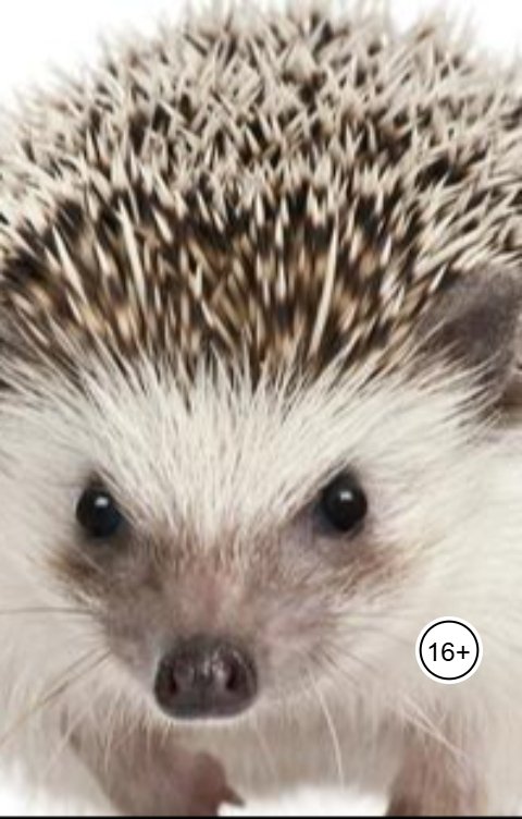 Обложка книги Александр Посохов Небасни Посохова