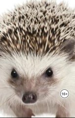 обложка книги Александр Посохов "Небасни Посохова"