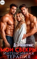 обложка книги ДОМИНАТРИКС "Мои свекры. Интенсивная терапия"