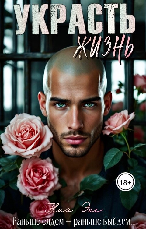 Обложка книги Ния Экс Украсть жизнь