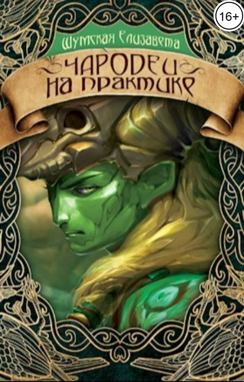 Обложка книги Елизавета Шумская Чародеи на практике