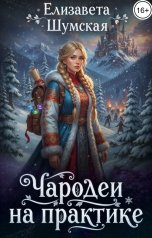обложка книги Елизавета Шумская "Чародеи на практике"