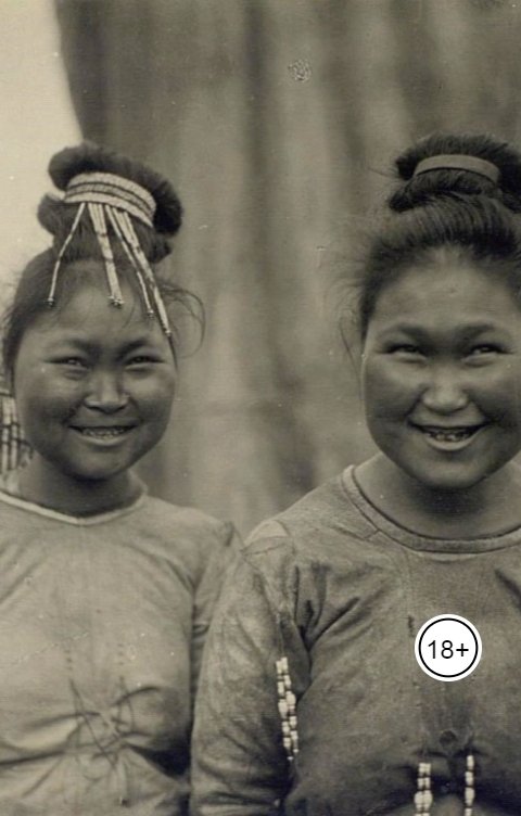 Обложка книги Андрей Ланиус Дубликат