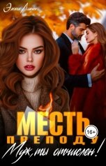 обложка книги Эмми Линн "Месть преподу. Муж, ты отчислен"