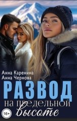 обложка книги Анна Каренина, Анна Чернова "Развод на предельной высоте"