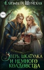 обложка книги Елизавета Шумская "Зверь, шкатулка и немного колдовства"