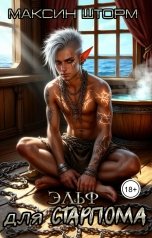 обложка книги Максин Шторм, Регина Птица Моно, Регина Птица "Эльф для старпома"