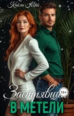 обложка книги Кайла Май "Застрявшие в метели"