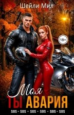 обложка книги Шейли Мил "Ты моя авария"