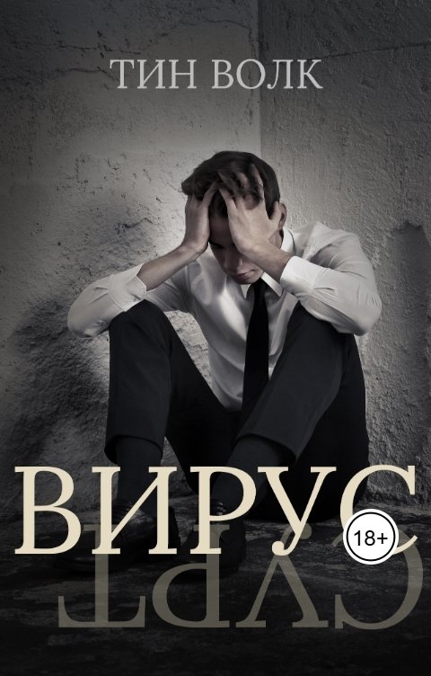 Обложка книги not anymore Вирус (The box)