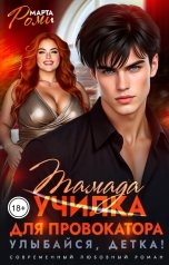 обложка книги Марта Роми "Училка для провокатора. Улыбайся, детка!"