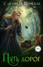 обложка книги Елизавета Шумская "Пять дорог (Пять камней-2)"