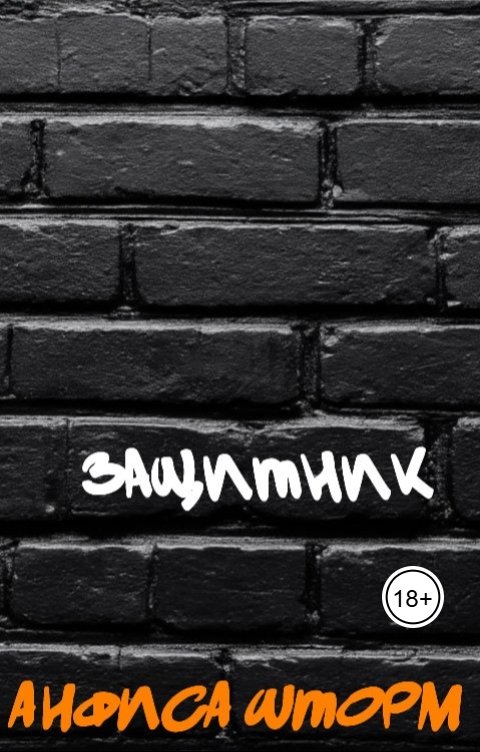 Обложка книги Анфиса Шторм Защитник