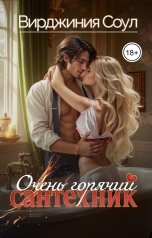 обложка книги Вирджиния Соул "Очень горячий сантехник"