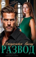обложка книги Стася Бестужева "Развод. Искупить вину"