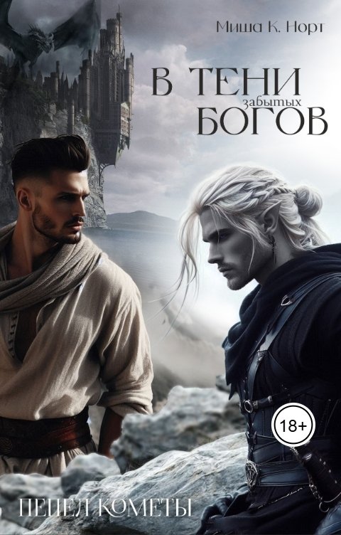 Обложка книги Миша К. Норт В тени забытых богов