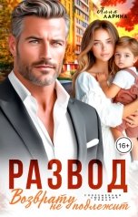 обложка книги Алла Ларина "Развод. Возврату не подлежит"