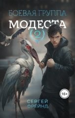 обложка книги Сергей Фрейнд "Боевая группа Модеста"