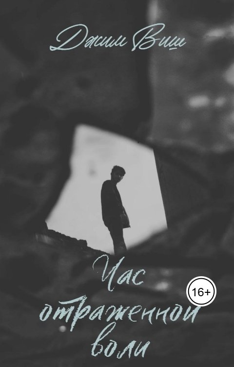 Обложка книги Jim Vish Час отраженной воли