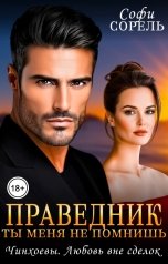 обложка книги Софи Сорель "Праведник. Ты меня не помнишь"