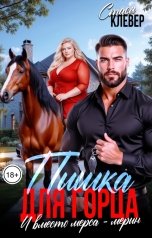 обложка книги Стася Клевер "Пышка для горца. И вместо мерса - мерин"