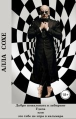 обложка книги Алла Сохе "Добро пожаловать в лабиринт "Удача" или это вам не игра в кальмара"