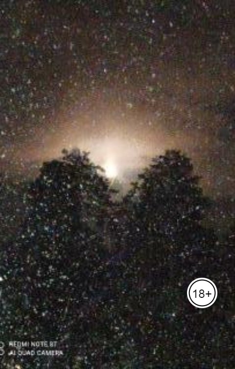 Обложка книги Андрей Ланиус Правда о том ,что случилось с монтажником Ерошкиным и водителем Жихаревым