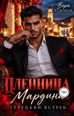 обложка книги Вера Рудецкая "Пленница Мардина. Турецкий ястреб"