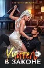 обложка книги Виктория Стальная "Учитель в законе"