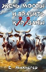 обложка книги Егор Михнегер "Жечь мосты и грабить корованы"