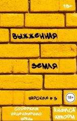 обложка книги Анфиса Шторм "Выжженная земля"