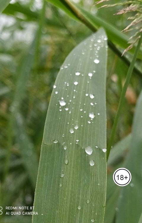 Обложка книги Андрей Ланиус Женские страшилки и заморочки - 2