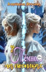 обложка книги Анастасия Дронова "У Тёмного на посылках"