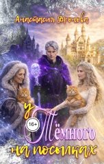 обложка книги Анастасия Дронова "У Тёмного на посылках"