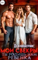 обложка книги ДОМИНАТРИКС "Мои свекры. Ты родишь нам ребенка"