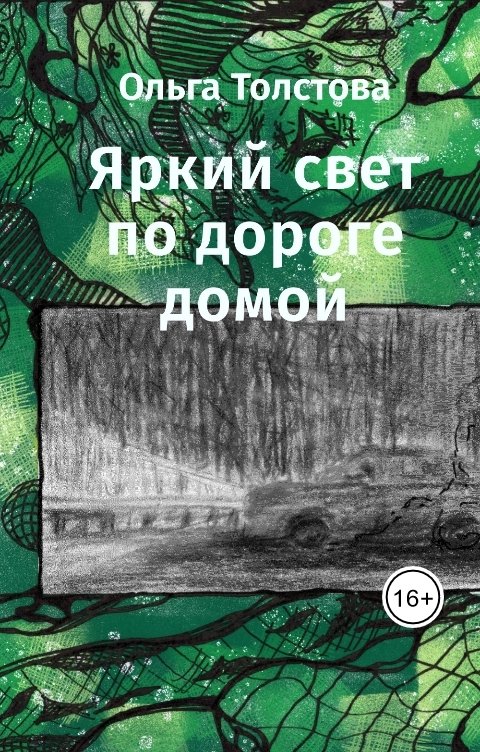 Обложка книги Ольга Толстова arishai Яркий свет по дороге домой